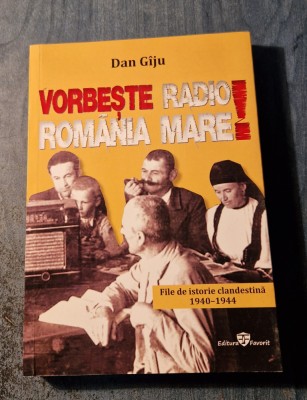 Vorbeste Radio Romania Mare ! Dan Giju foto