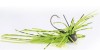 Rapture Tungsten Finesse Rub Jig 1.7g Chartreuse Pepper