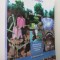 Brief guide of Timis County (Ghid judet Timis) - Dinu Barbu