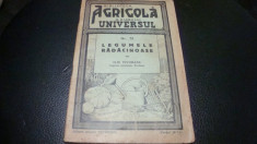 Ilie Isvoranu - Legumele radacinoase -1938-Biblioteca agricola Universul foto