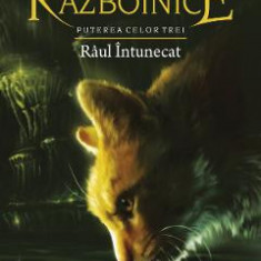 Pisicile Razboinice Vol.14: Raul intunecat - Erin Hunter