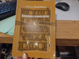Sociologia organizațiilor. Oscar Hoffman