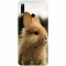 Husa silicon pentru Huawei P Smart 2019, Cute Rabbit In Grass