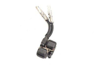 Bobina de inducție de &amp;icirc;naltă tensiune MERCEDES-BENZ SL R230 2001 OEM: A0001587803,0221503035 13596227 foto
