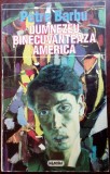 Cumpara ieftin PETRE BARBU - DUMNEZEU BINECUVANTEAZA AMERICA (ROMAN, prima editie - 1995)