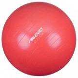 Avento Minge De Fitness/Gimnastică Roz Diam. 75 cm 433426