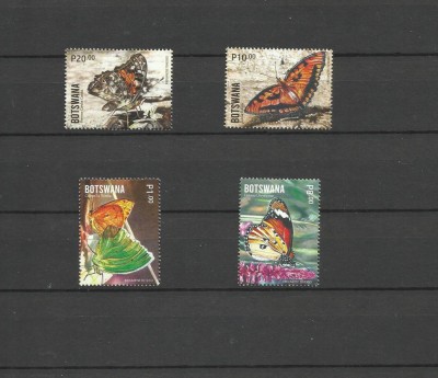 BOTSWANA 2024 FAUNA INSECTE FLUTURI foto