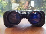 Binoclu Steiner 8x25