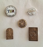 Lot de cinci insigne romanesti cu tematica diversa