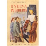 Irina Irosnicova - Undeva in Siberia - 137948