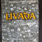 Livada C-tin Chirita