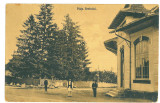 1302 - BREBU, Prahova, Romania - old postcard - unused