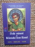 Noile minuni ale Sfantului Ioan Rusul - Gheorghe Nicolae