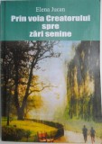 Prin voia Creatorului spre zari senine - Elena Jurcan - Roman Beletristica