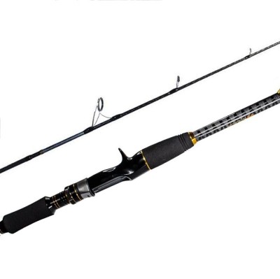 Lanseta spinning Ryuji Seawolf Baitcast 400 - 800g / 1.8m foto
