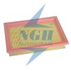 Filtru Aer 41819 NGH 03.02.019