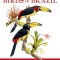 A Field Guide to the Birds of Brazil