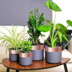 vidaXL Bandă din cupru dublă față 6 buc 6 pcs Cupru 2000 x 7 cm