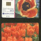 Romania 2001 Telephone card Flowers Rom 117 CT.098
