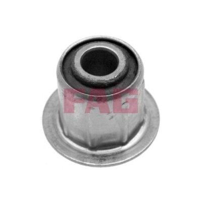 FAG Bucsa arc foi foto