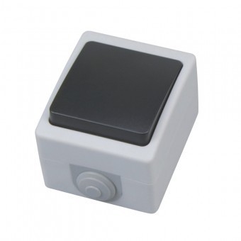 Intrerupator cap scara PT, Atom Two Way, pentru exterior, IP54 foto