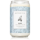 FraLab Botanica Ulivo lum&acirc;nare parfumată 390 g