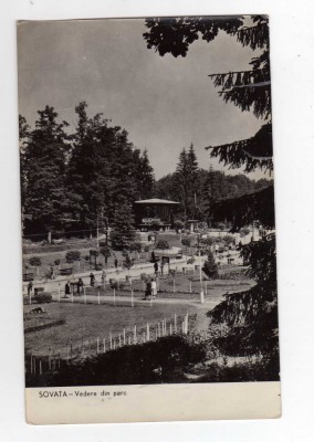 SOVATA VEDERE DIN PARC RPR HARTIE SUBTIRE foto