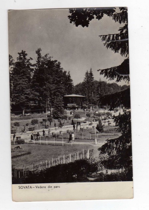 SOVATA VEDERE DIN PARC RPR HARTIE SUBTIRE