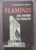 Constantin Dropu - Flăm&icirc;nzi, un nume &icirc;n istorie (1977)