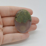 Cabochon agat moss indonezia 43x31x6mm c23