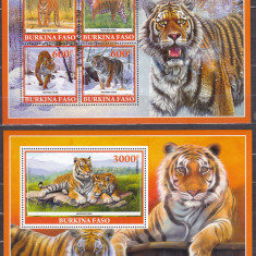 DB1 Fauna Burkina Faso Tigri MNH