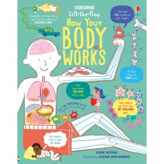 Lift the Flap How Your Body Works Usborne Books