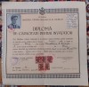 QW13 14 - 1946 - Diploma de capacitate pentru invatator - Cluj - 30/30 cm