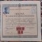 QW13 14 - 1946 - Diploma de capacitate pentru invatator - Cluj - 30/30 cm