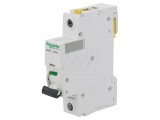 &Icirc;ntrerupător de Supracurent 20A 1P 230V B