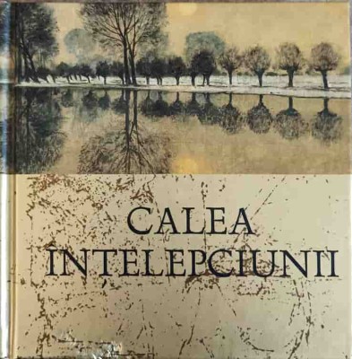 CALEA INTELEPCIUNII-HELEN EXLEY-261424 foto