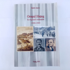 BADIU IANCU - ORAȘUL HAȚEG ÎN REGIMUL COMUNIST 1944-1965 (MONOGRAFIE)