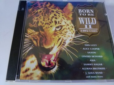 Born to be wild II , es foto