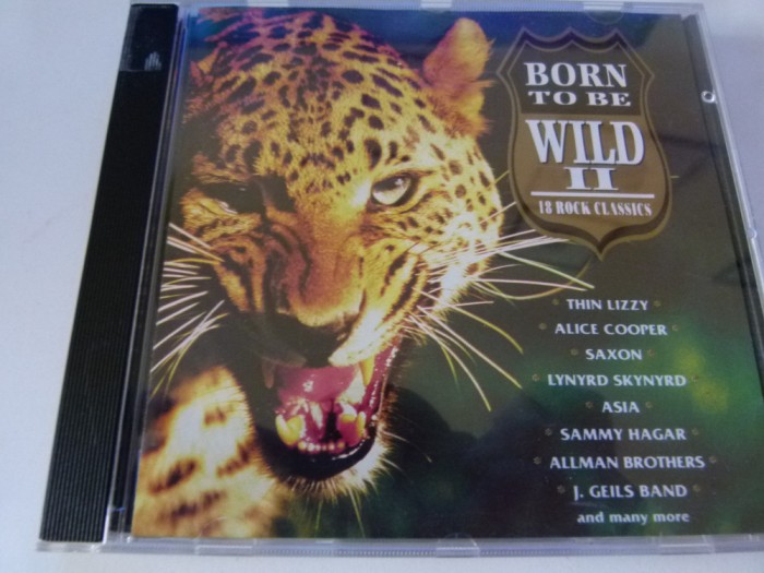 Born to be wild II , es