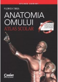 Atlas Scolar Anatomia Omului 2017 - Editie Revizuita, Florina Tibea - Editura Corint