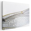 Tablou aripa libelula, detaliu, alb, negru 1579 Tablou canvas pe panza CU RAMA 60x80 cm