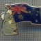 Y 937 INSIGNA - AUSTRALIA - PENTRU COLECTIONARI