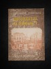 CONSTANTIN BACALBASA - BUCURESTII DE ALTADATA volumul 1 (1871-1877)