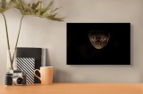 Tablou Canvas, "Șarpe &icirc;n &icirc;ntunericul nopții", &Icirc;mi pare rău, nu pot să &icirc;ți spun ce sau cine este &icirc;n imagine., 39 x 26 cm, CMCLASS