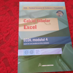 CALCUL TABELAR EXCEL , ECDL , MODULUL 4 , SUPORT DE CURS , 2004