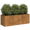 VidaXL Jardinieră Rusty 120x40x40 cm Oțel pentru intemperii 860681