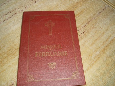 Mineiul pe februarie foto