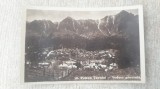 Poiana Tapului - Vedere generala.