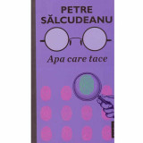 Petre Salcudeanu - Apa care tace - 132124