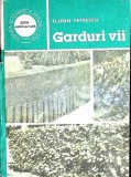GARDURI VII-FLORIN PETRESCU-355649
